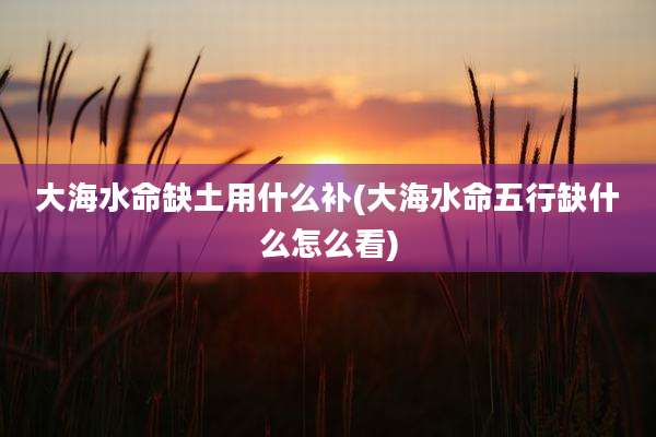 大海水命缺土用什么补(大海水命五行缺什么怎么看)