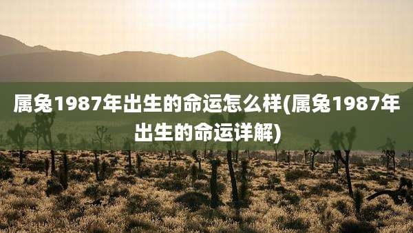 属兔1987年出生的命运怎么样(属兔1987年出生的命运详解)