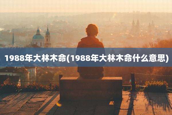 1988年大林木命(1988年大林木命什么意思)