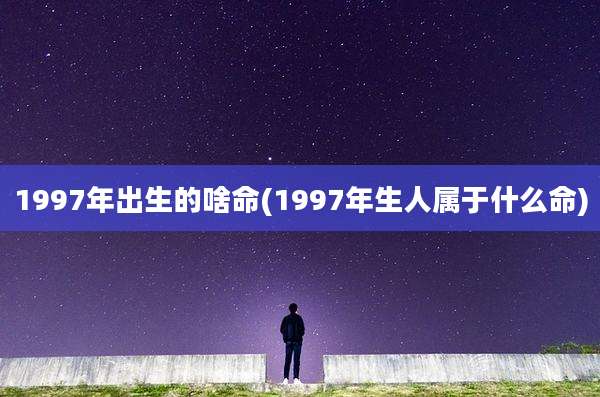 1997年出生的啥命(1997年生人属于什么命)