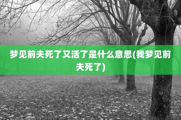 梦见前夫死了又活了是什么意思(我梦见前夫死了)