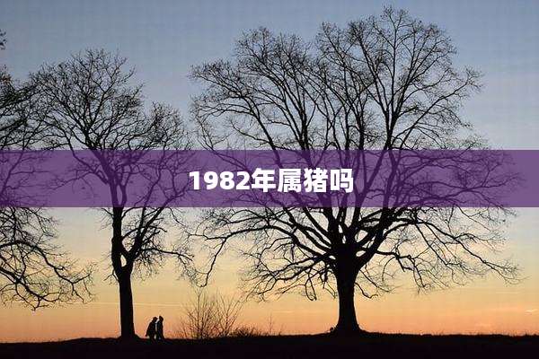 1982年属猪吗