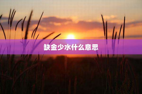 缺金少水什么意思