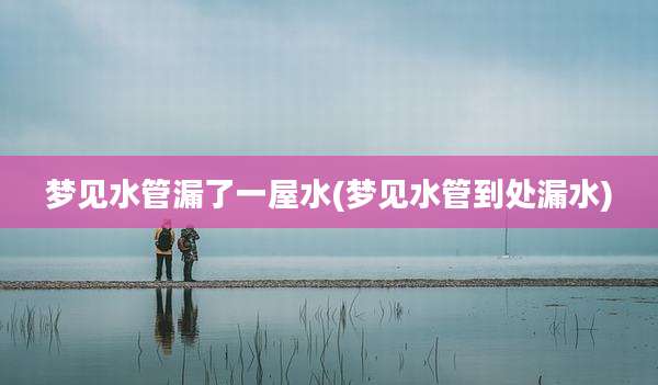 梦见水管漏了一屋水(梦见水管到处漏水)