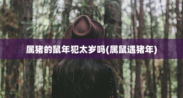 属猪的鼠年犯太岁吗(属鼠遇猪年)