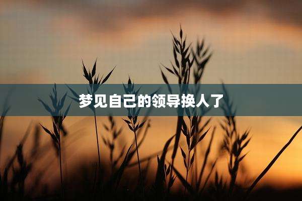 梦见自己的领导换人了