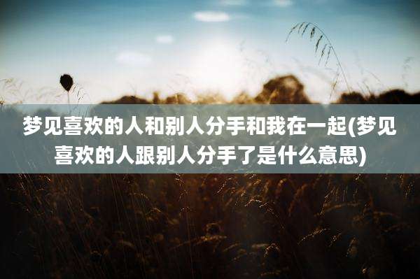 梦见喜欢的人和别人分手和我在一起(梦见喜欢的人跟别人分手了是什么意思)