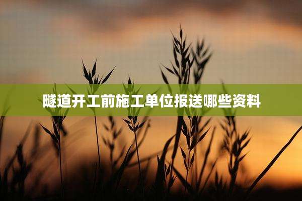 隧道开工前施工单位报送哪些资料