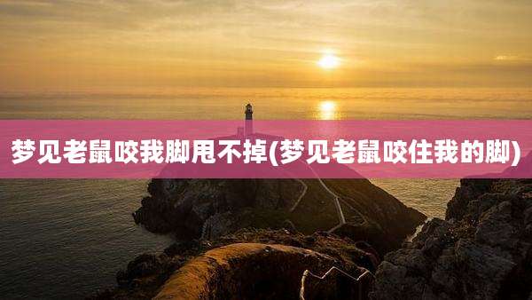 梦见老鼠咬我脚甩不掉(梦见老鼠咬住我的脚)