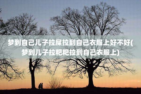 梦到自己儿子拉屎拉到自己衣服上好不好(梦到儿子拉粑粑拉到自己衣服上)