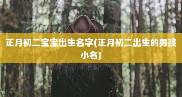 正月初二宝宝出生名字(正月初二出生的男孩小名)