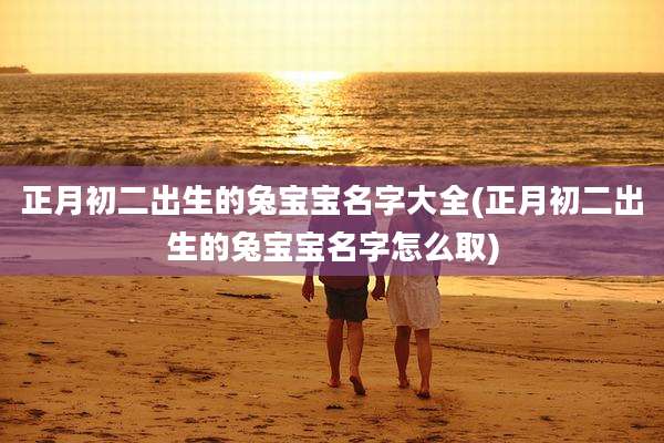 正月初二出生的兔宝宝名字大全(正月初二出生的兔宝宝名字怎么取)