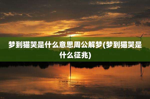梦到猫哭是什么意思周公解梦(梦到猫哭是什么征兆)