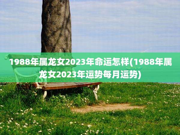 1988年属龙女2023年命运怎样(1988年属龙女2023年运势每月运势)