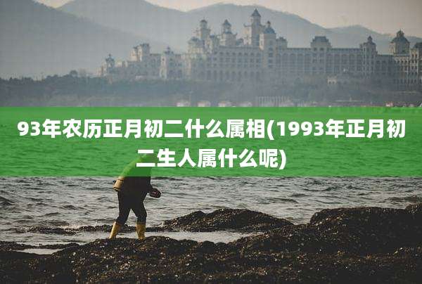 93年农历正月初二什么属相(1993年正月初二生人属什么呢)