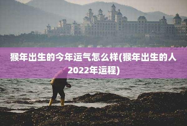 猴年出生的今年运气怎么样(猴年出生的人2022年运程)