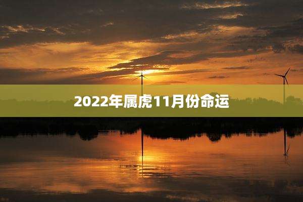 2022年属虎11月份命运