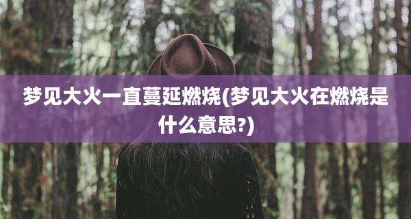 梦见大火一直蔓延燃烧(梦见大火在燃烧是什么意思?)