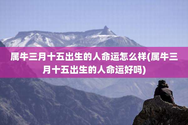 属牛三月十五出生的人命运怎么样(属牛三月十五出生的人命运好吗)
