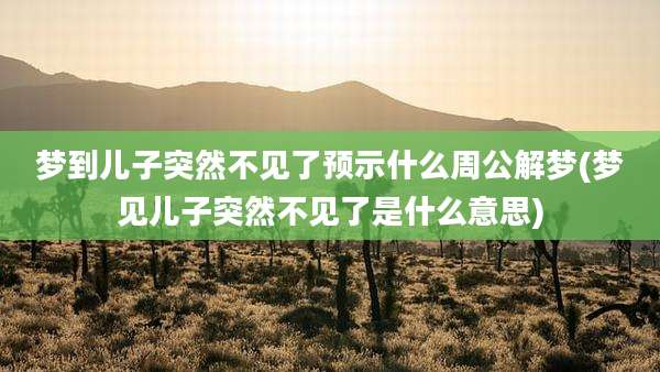 梦到儿子突然不见了预示什么周公解梦(梦见儿子突然不见了是什么意思)