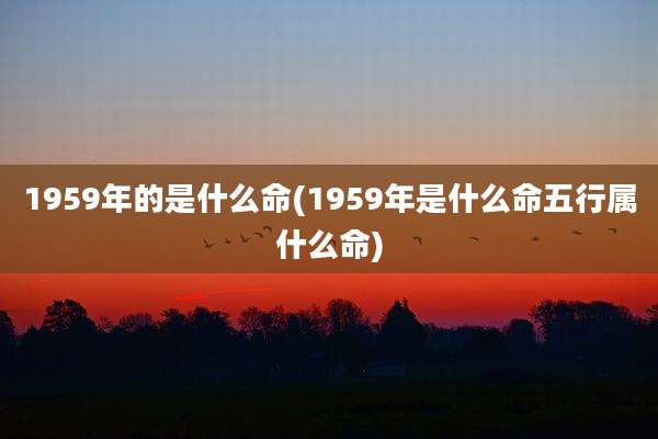 1959年的是什么命(1959年是什么命五行属什么命)