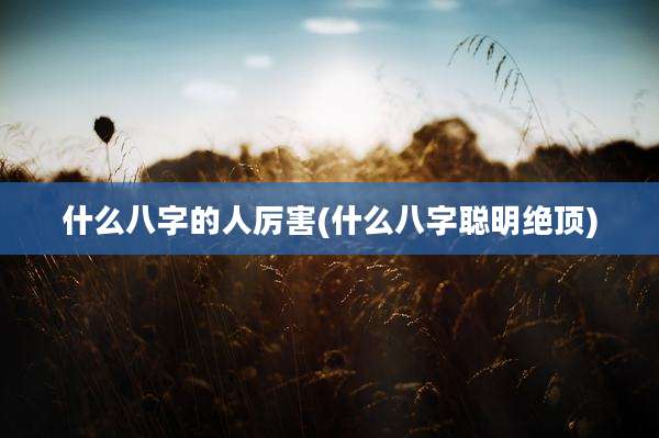 什么八字的人厉害(什么八字聪明绝顶)