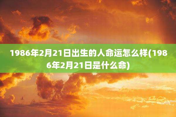 1986年2月21日出生的人命运怎么样(1986年2月21日是什么命)