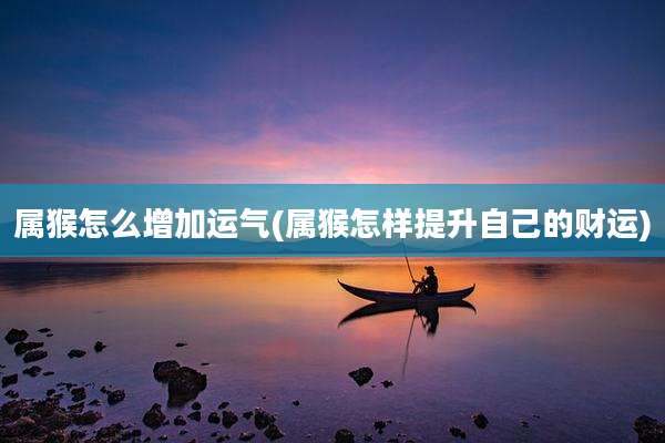 属猴怎么增加运气(属猴怎样提升自己的财运)
