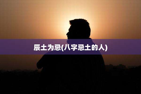 辰土为忌(八字忌土的人)