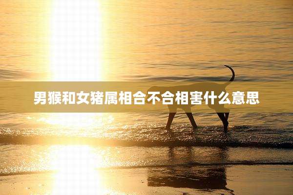 男猴和女猪属相合不合相害什么意思
