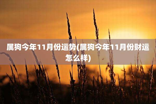 属狗今年11月份运势(属狗今年11月份财运怎么样)