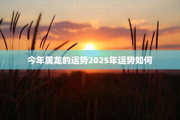 今年属龙的运势2025年运势如何