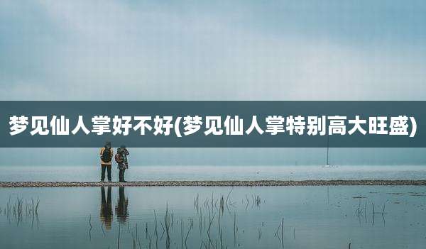梦见仙人掌好不好(梦见仙人掌特别高大旺盛)