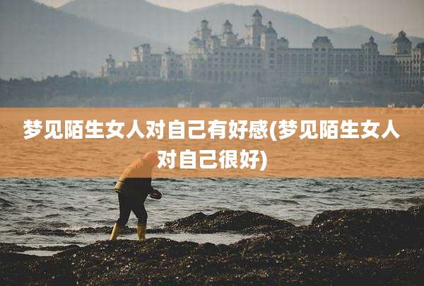 梦见陌生女人对自己有好感(梦见陌生女人对自己很好)