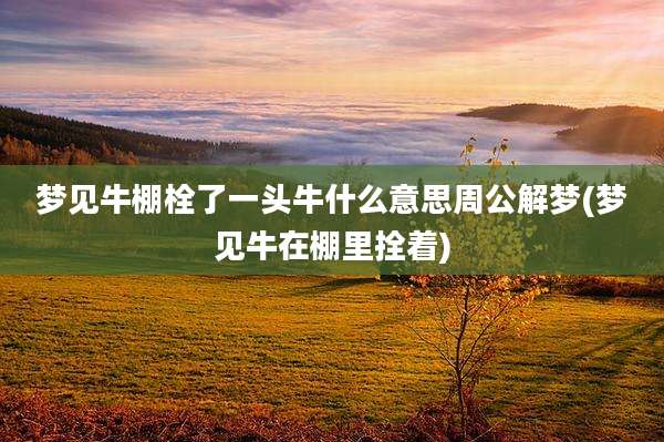 梦见牛棚栓了一头牛什么意思周公解梦(梦见牛在棚里拴着)