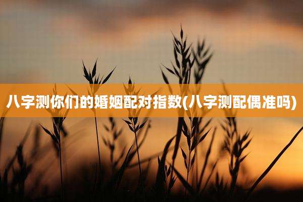 八字测你们的婚姻配对指数(八字测配偶准吗)