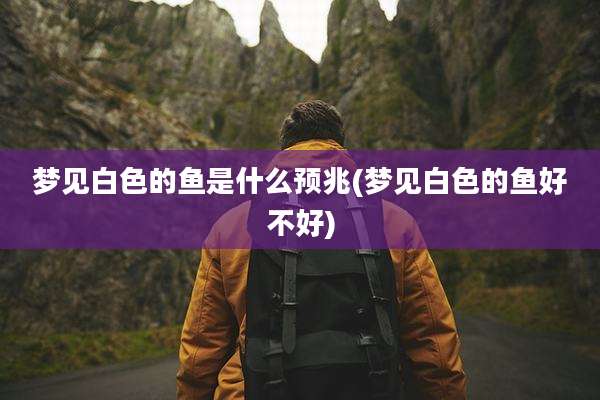 梦见白色的鱼是什么预兆(梦见白色的鱼好不好)