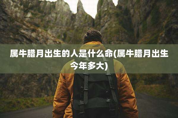 属牛腊月出生的人是什么命(属牛腊月出生今年多大)