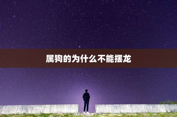 属狗的为什么不能摆龙