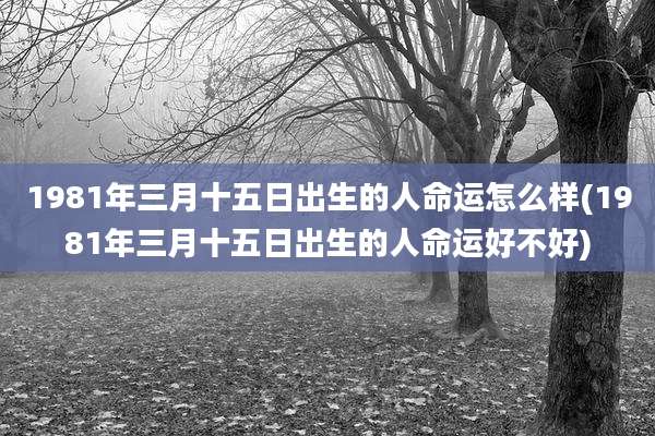 1981年三月十五日出生的人命运怎么样(1981年三月十五日出生的人命运好不好)