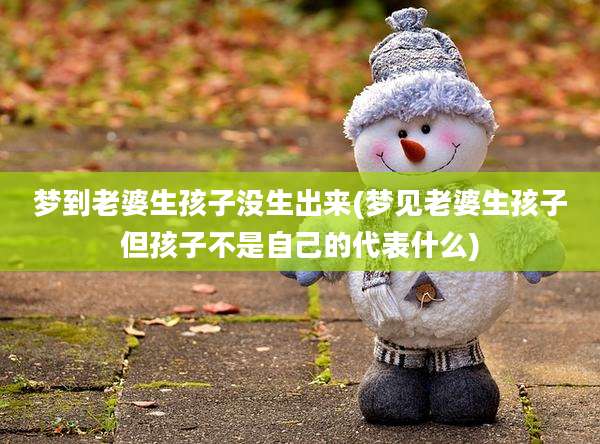 梦到老婆生孩子没生出来(梦见老婆生孩子但孩子不是自己的代表什么)