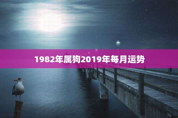 1982年属狗2019年每月运势