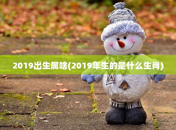 2019出生属啥(2019年生的是什么生肖)