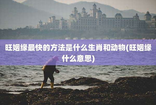旺姻缘最快的方法是什么生肖和动物(旺姻缘什么意思)