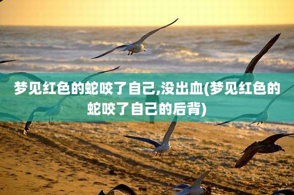 梦见红色的蛇咬了自己,没出血(梦见红色的蛇咬了自己的后背)
