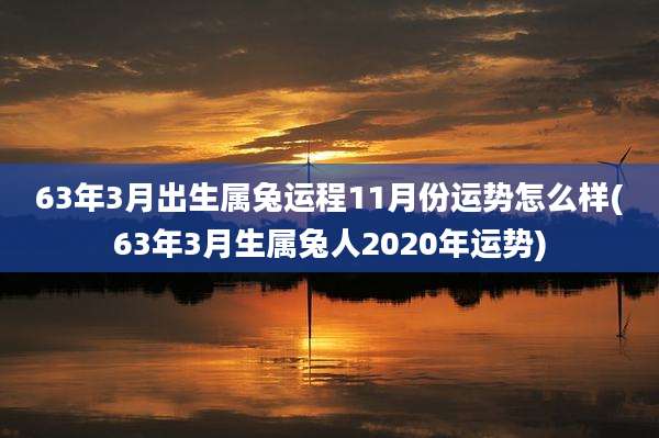 63年3月出生属兔运程11月份运势怎么样(63年3月生属兔人2020年运势)