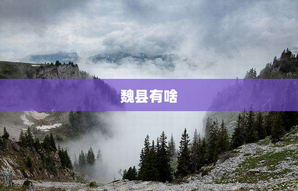 魏县有啥