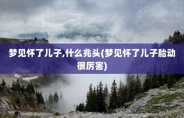 梦见怀了儿子,什么兆头(梦见怀了儿子胎动很厉害)