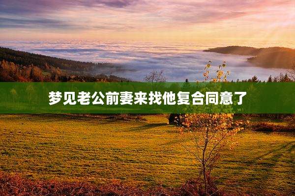 梦见老公前妻来找他复合同意了