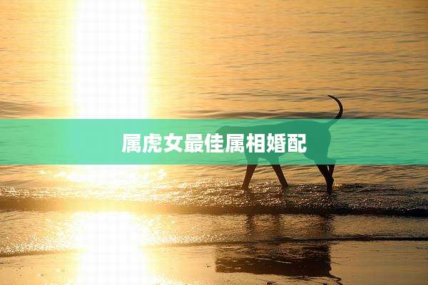 属虎女最佳属相婚配